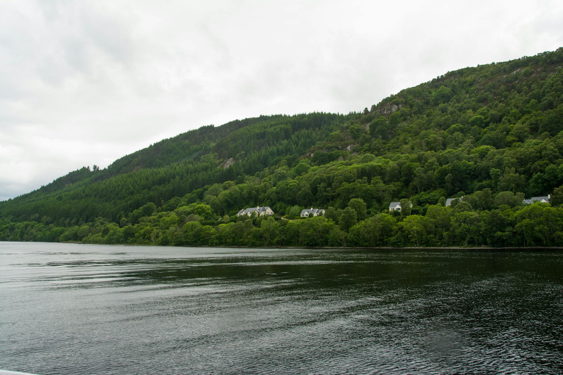 Views of the loch from the shore near Drumnadrochit, where the vastness of the dark water contrasts with the deep green of the hills.